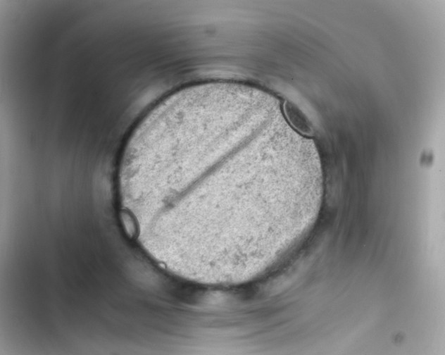 X0000103160111200809192102
