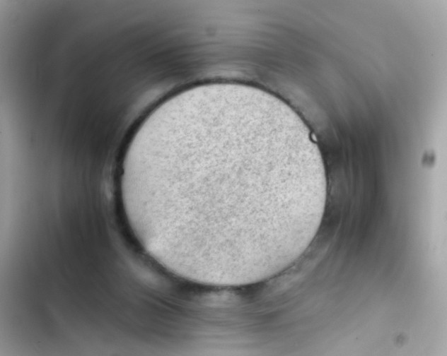 X0000103160112200809192102