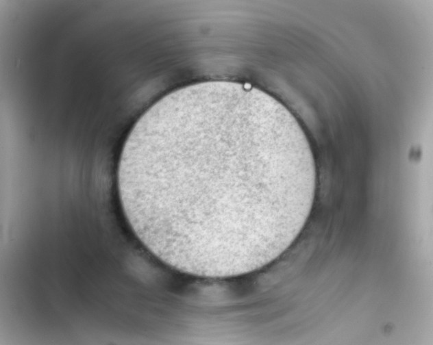 X0000103160113200809192102