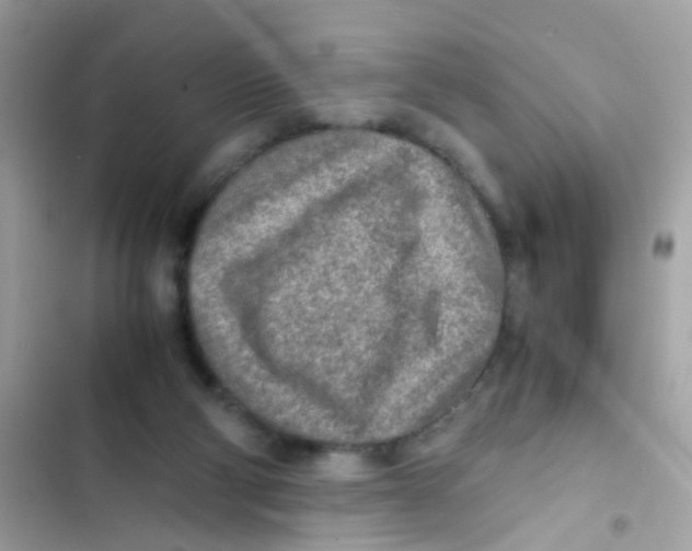 X0000103160114200809192102