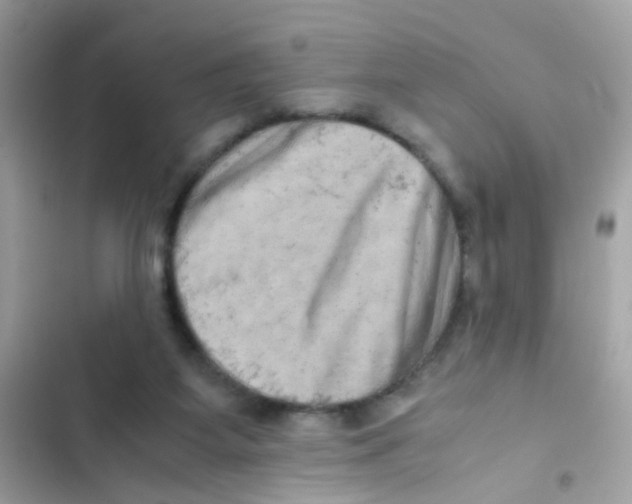 X0000103160115200809192102