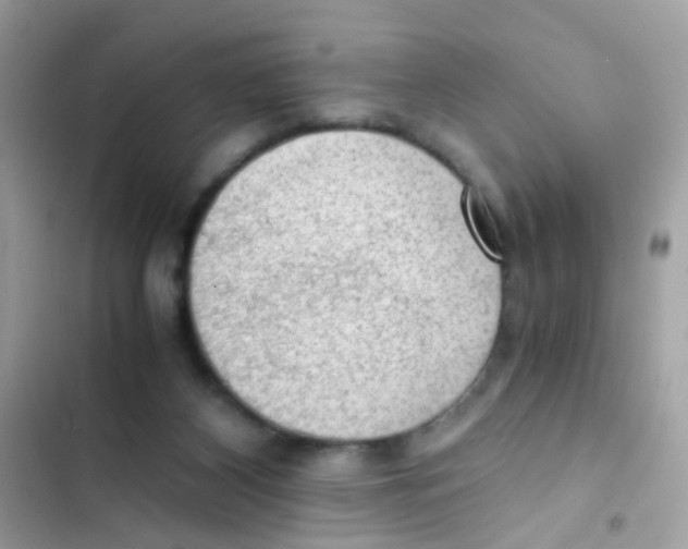 X0000103160116200809192102