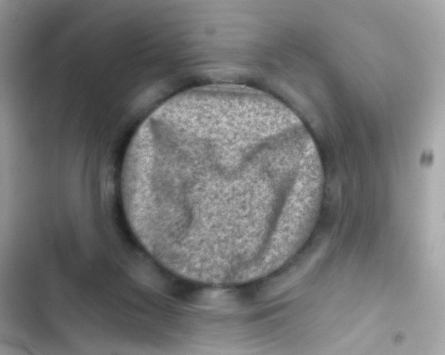 X0000103160117200809192102