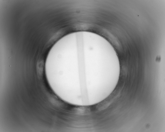 X0000103160118200809192102