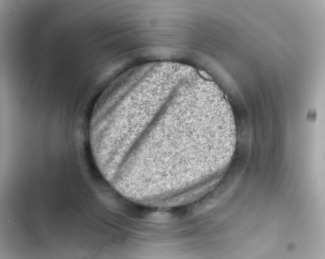 X0000103160119200809192102