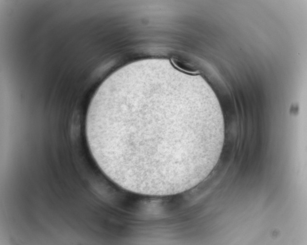X0000103160120200809192102