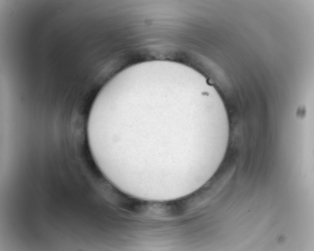 X0000103160121200809192102
