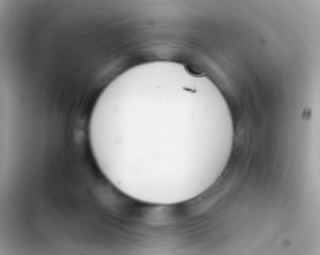 X0000103160122200809192102