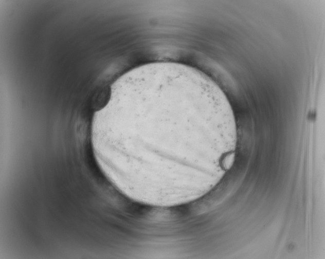 X0000103160123200809192102