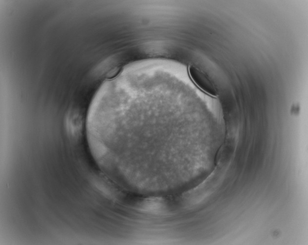 X0000103160124200809192102