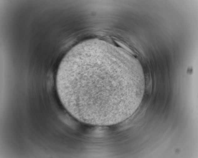 X0000103160128200809192102