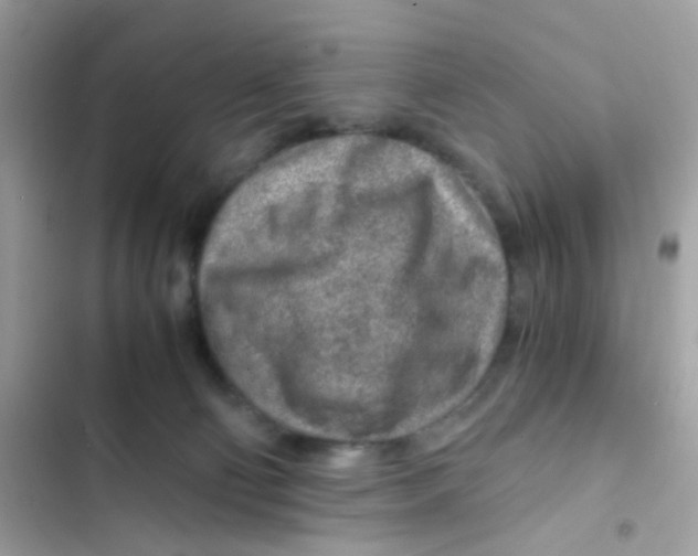 X0000103160130200809192102