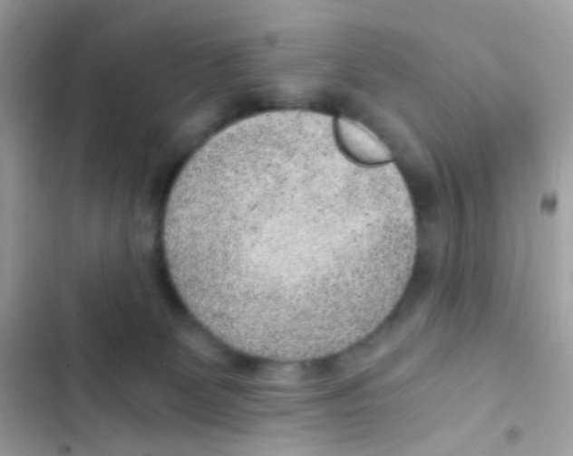 X0000103160131200809192102