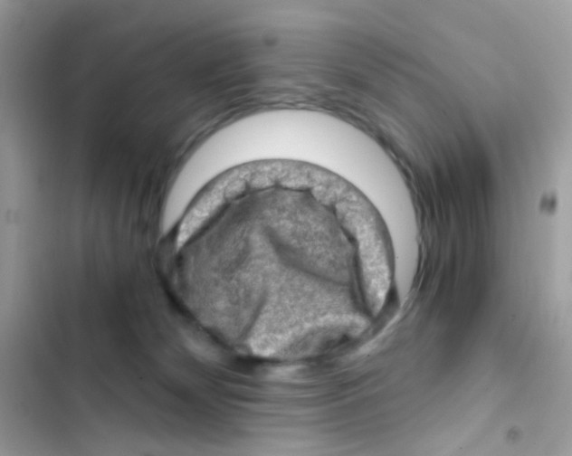 X0000103160132200809192102