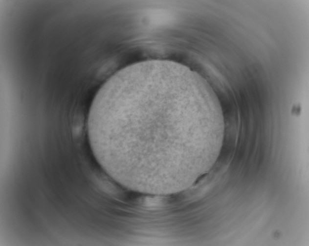 X0000103160134200809192102