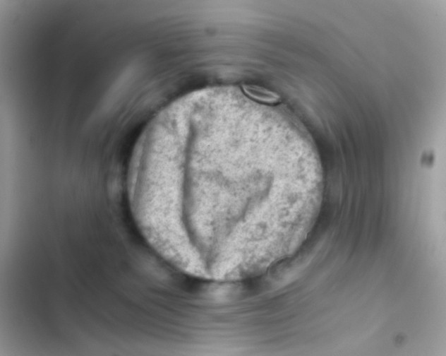 X0000103160135200809192102