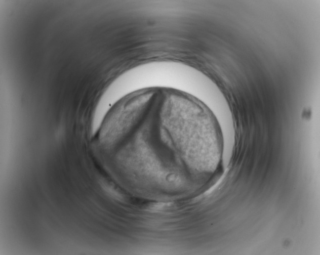 X0000103160136200809192102