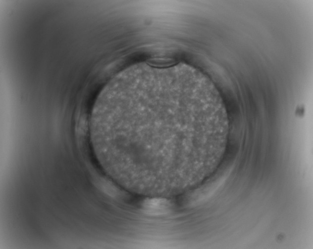 X0000103160137200809192102