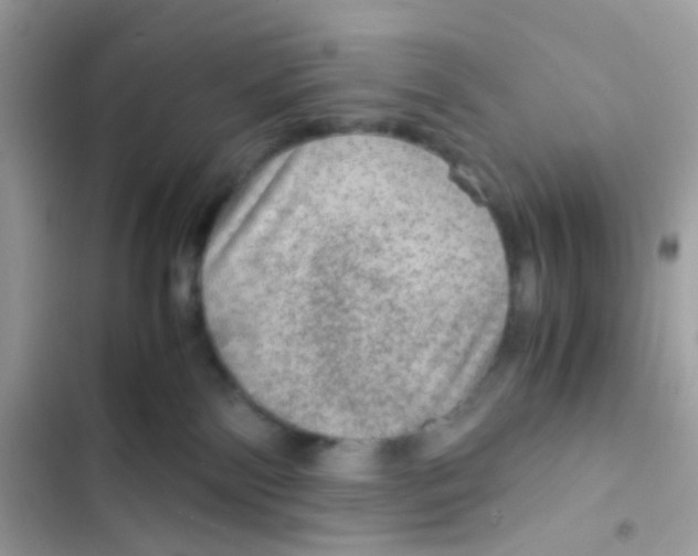 X0000103160138200809192102