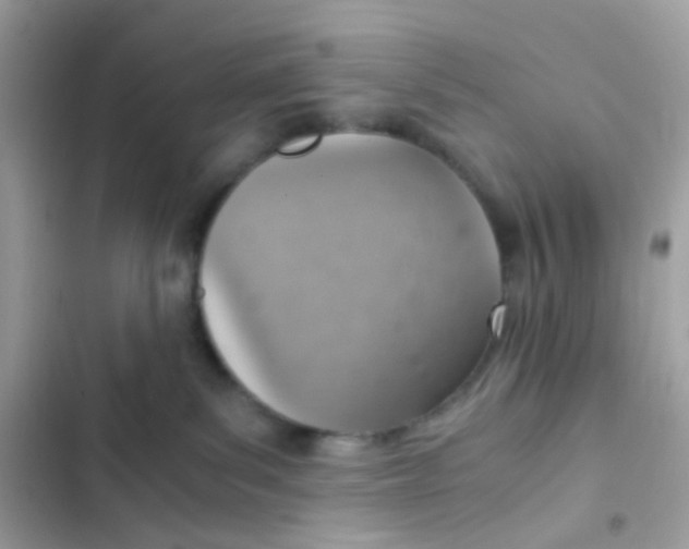 X0000103160139200809192102