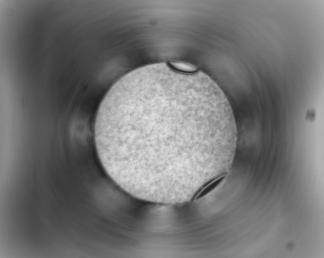 X0000103160140200809192102