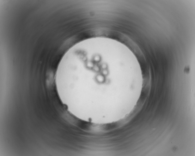 X0000103160142200809192102