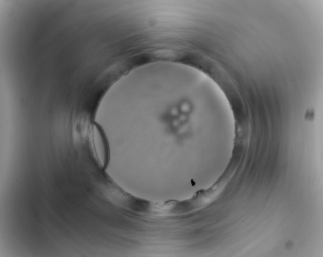 X0000103160143200809192102