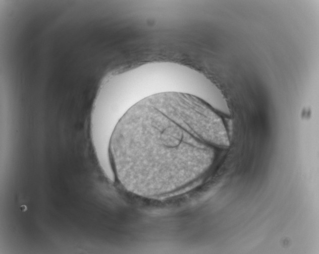 X0000103160144200809192102