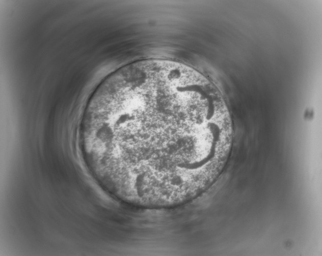 X0000103160145200809192101