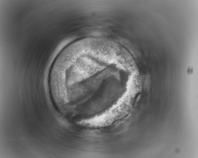 X0000103160147200809192101