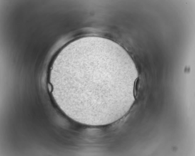 X0000103160150200809192101