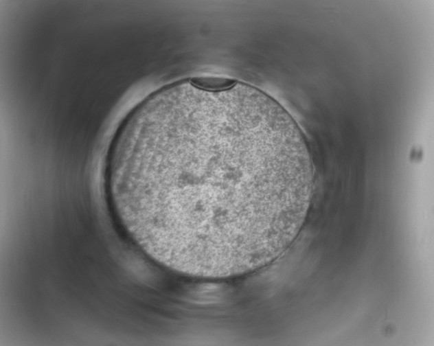 X0000103160151200809192101