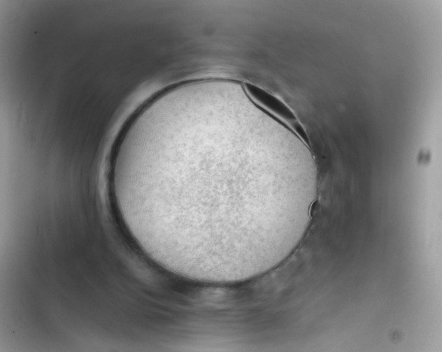 X0000103160152200809192101