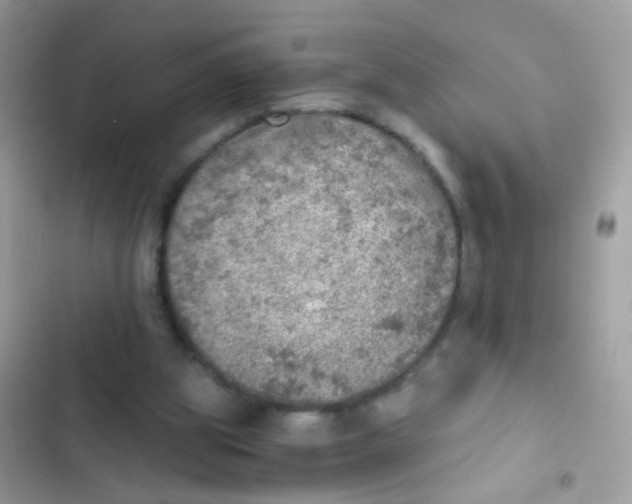 X0000103160153200809192101
