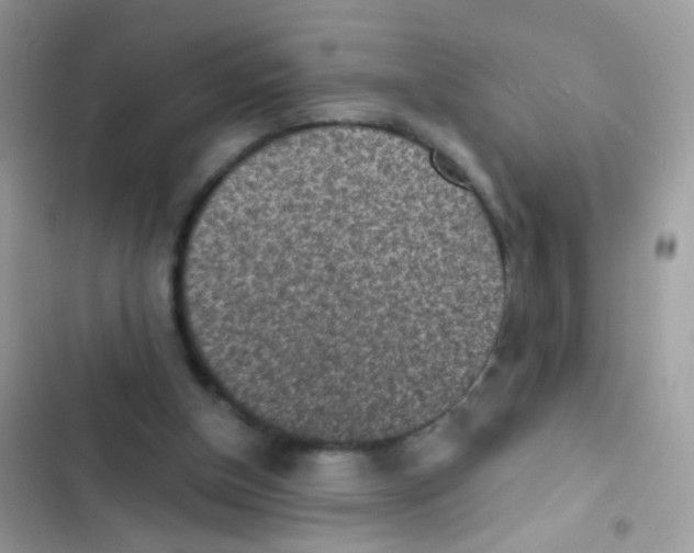 X0000103160154200809192101