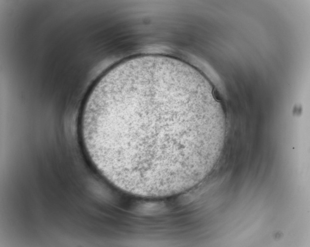 X0000103160155200809192101