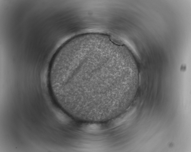 X0000103160156200809192101