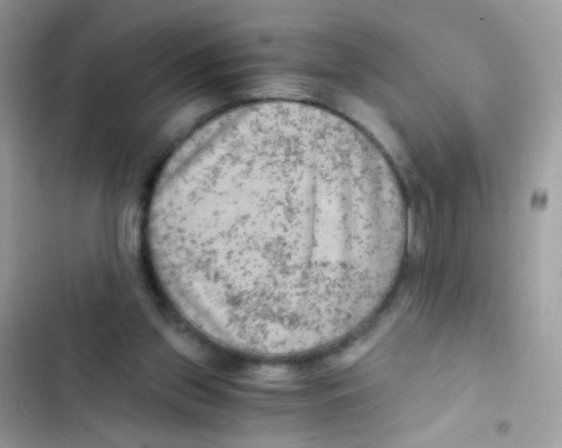 X0000103160157200809192101