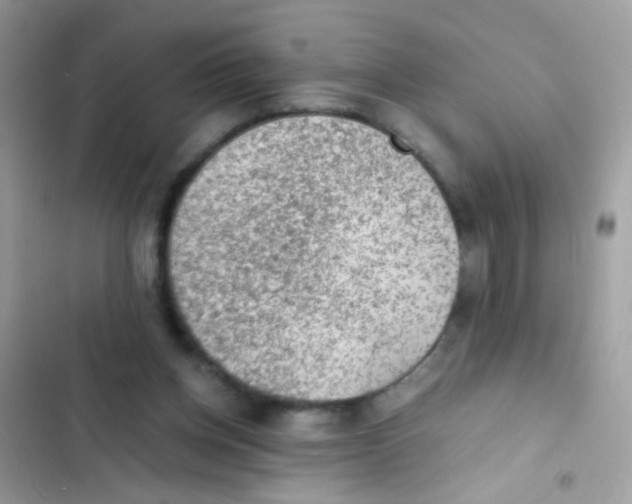 X0000103160158200809192102