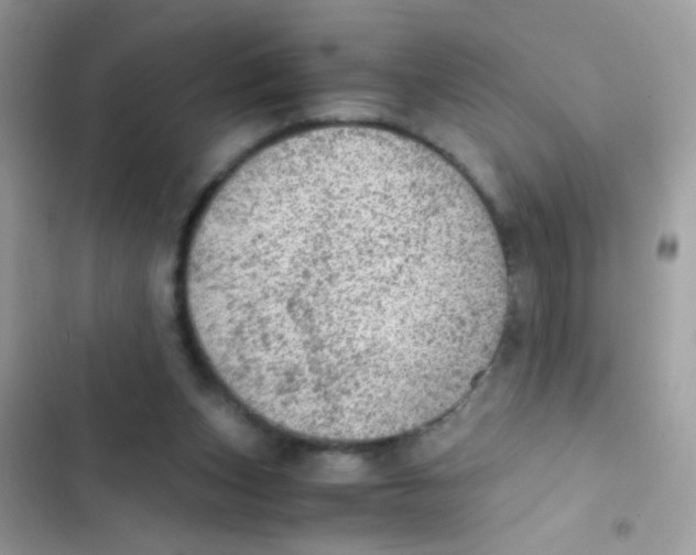 X0000103160159200809192102