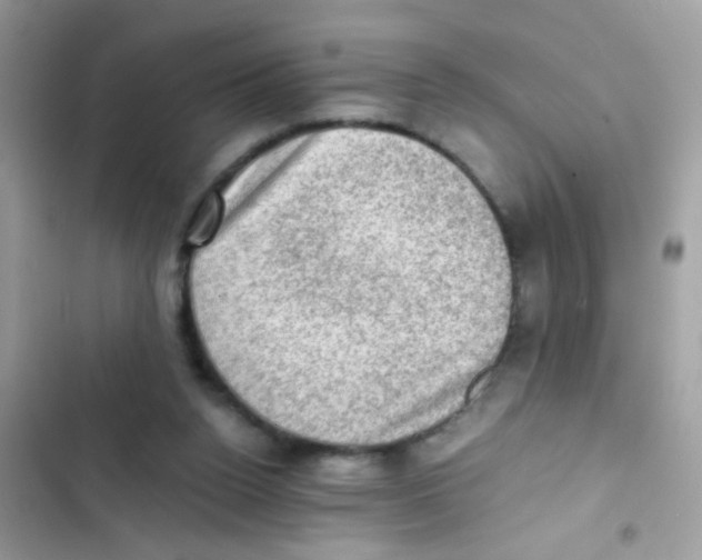 X0000103160160200809192102
