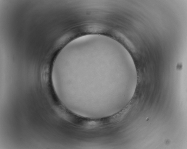 X0000103160163200809192102