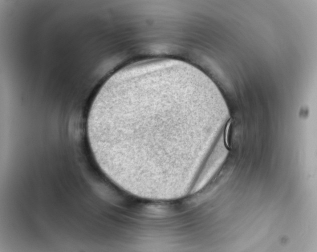 X0000103160164200809192102