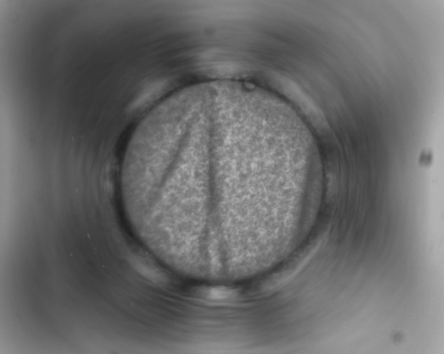 X0000103160165200809192102