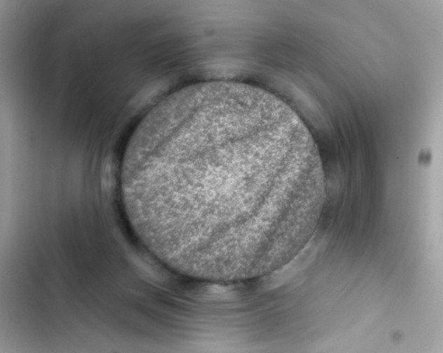 X0000103160166200809192102