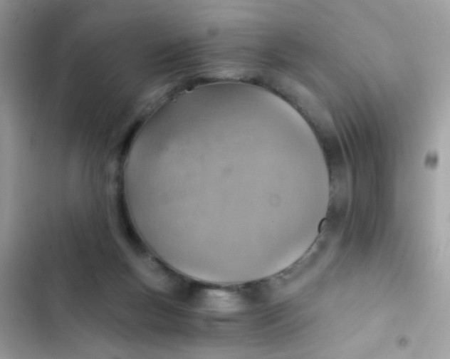 X0000103160167200809192102