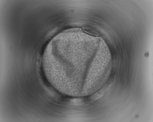 X0000103160168200809192102