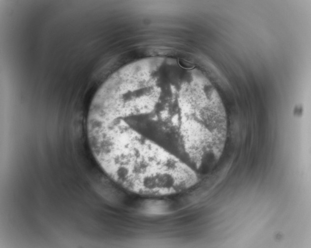 X0000103160169200809192102