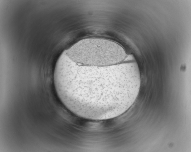 X0000103160170200809192102
