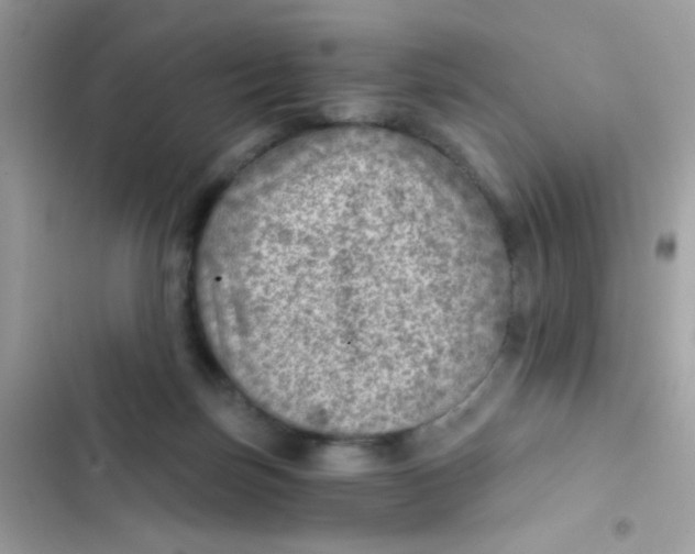 X0000103160171200809192102